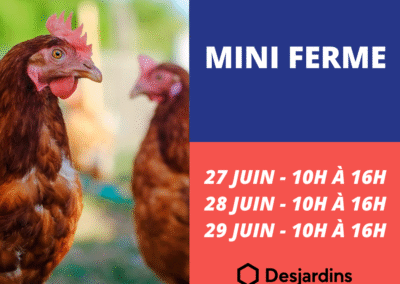 Mini Ferme